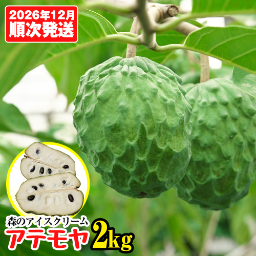 【2026年12月中旬から順次発送】森のアイスクリーム キラリファームのアテモヤ 2kg 2870646 - 沖縄県南風原町