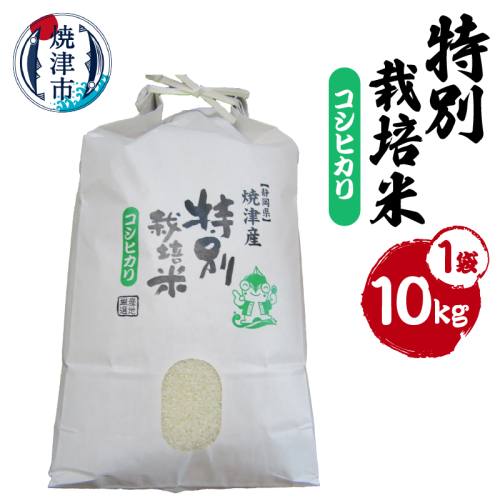 a31-016　新米　令和8年産　特別栽培米　こしひかり　10Kg　農家のお米 2870652 - 静岡県焼津市