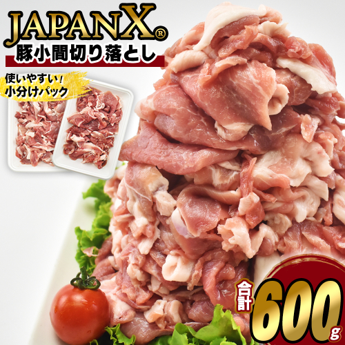 JAPAN X 豚小間切り落とし/計600g　豚肉 豚 ブランド豚 小分け 豚こま 豚小間 切落し ジャパンエックス 蔵王 人気 【04301-1103】 2870672 - 宮城県蔵王町