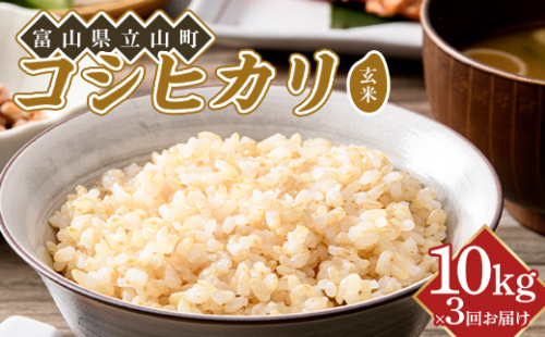 【3か月定期便】令和8年産 コシヒカリ 玄米 10kg ×3回 横山ファーム 米 富山県立山町産 こしひかり 富山県 立山町 F6T-1110 2870693 - 富山県立山町