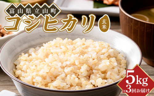 【3か月定期便】令和8年産 コシヒカリ 玄米 5kg ×3回 横山ファーム 米 富山県立山町産 こしひかり 富山県 立山町 F6T-1111 2870694 - 富山県立山町