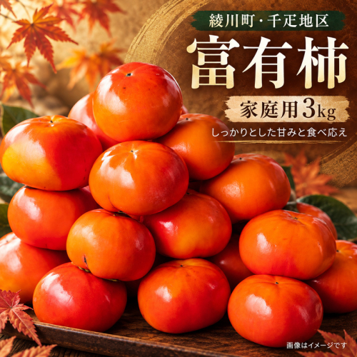 富有柿 家庭用 3kg 2870727 - 香川県綾川町