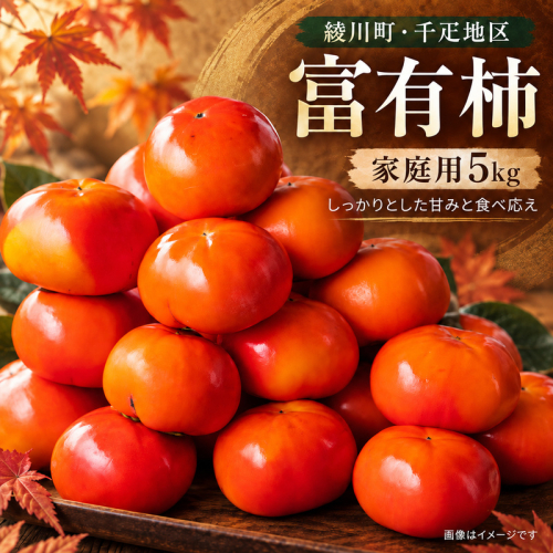 富有柿 家庭用 5kg 2870728 - 香川県綾川町
