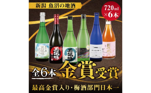 全6本金賞受賞酒 最高金賞&日本一梅酒入り 720ml×6本 酒 日本酒 梅酒 本醸造 吟醸 純米吟醸 純米大吟醸 辛口 セット 魚沼市 2870751 - 新潟県魚沼市