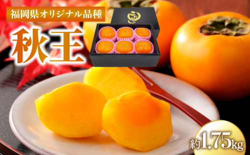 秋王 約1.75kg 計5～6玉【2026年10月下旬～11月発送】| 柿 カキ かき 秋 福岡県 甘い フルーツ 成果 ギフト 人気 国産 DF005 2870759 - 福岡県大木町