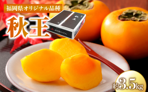 秋王 約3.5kg 計12～14玉【2026年10月下旬～11月発送】| 柿 カキ かき 秋 福岡県 甘い フルーツ 成果 ギフト 人気 国産 DF006 2870761 - 福岡県大木町