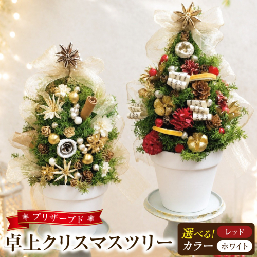 プリザーブド卓上クリスマスツリー ［133O18-SKU］ 2870773 - 愛知県小牧市