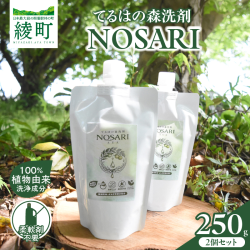 てるはの森洗剤NOSARI 500g（250g×2）パウチ 洗剤 洗濯洗剤 日用品 南九州産 よもぎ蒸留水 柑橘精油 綾の名水 合成香料不使用 マイクロカプセル不使用 おすすめ 宮崎県 綾町 送料無料_A0116-003 2870786 - 宮崎県綾町