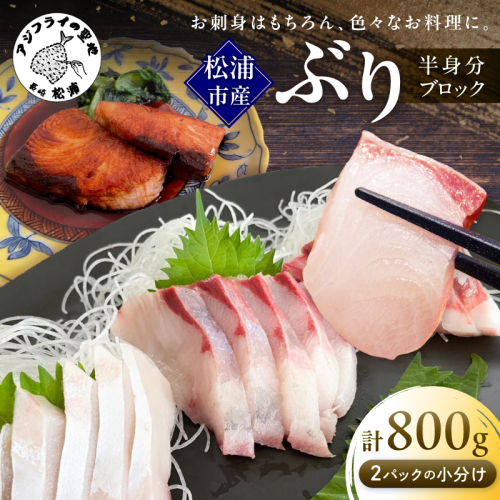 養殖ブリ【半身2パック小分け】ブロック真空　約800ｇ （ぶり ブリ 養殖 刺身 しゃぶしゃぶ 小分け)【134-0003】 2870788 - 長崎県松浦市