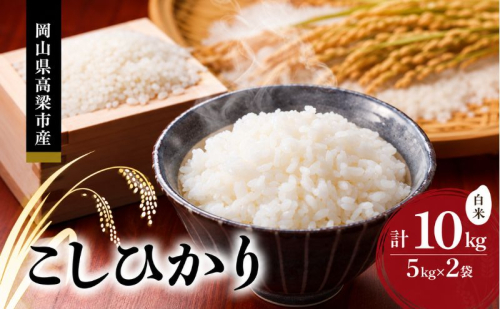 令和8年度産 こしひかり 10kg (5kg×2袋) 米 お米 精米 岡山 高梁市 2870898 - 岡山県高梁市