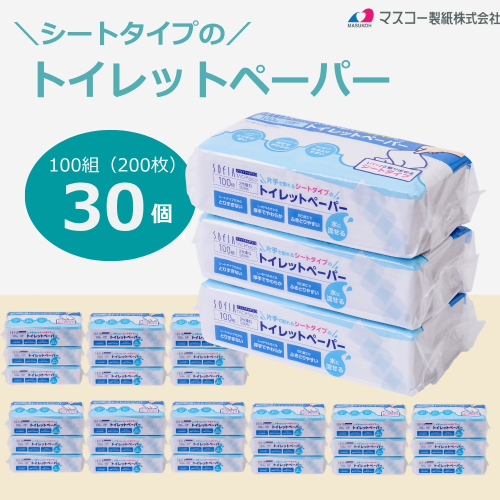 0012-107-03 マスコー製紙 片手で取れるシートタイプのトイレットペーパー 100組(200枚)×30個 シート トイレットペーパー 2870918 - 静岡県富士宮市