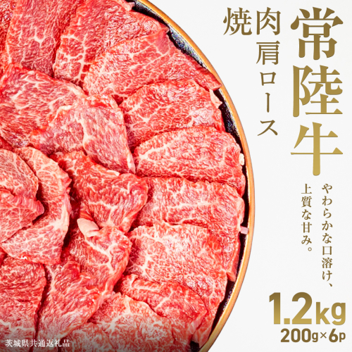 【先行予約】【和牛セレブ】常陸牛 焼肉 肩ロース1.2kg(200g×6パック)(茨城県共通返礼品) ひたち牛 ブランド牛肉 国産牛 国産黒毛和牛 お肉 ＜2027年2月からお申込順に発送＞ ひたちぎゅう 常陸牛 ブランド牛 焼肉 肩ロース 黒毛和牛 和牛 ギフト [FN24-NT] 2870924 - 茨城県つくばみらい市