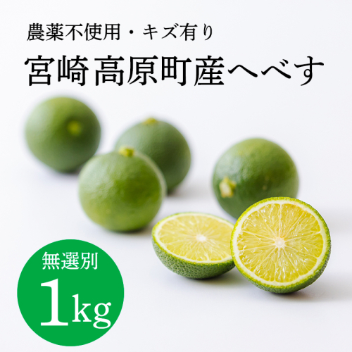 宮崎高原町産へべす 1kg 農薬不使用 キズ有り 無選別 [宮崎特産 柑橘 酸味 果汁たっぷり]TF923-P00074 2870939 - 宮崎県高原町