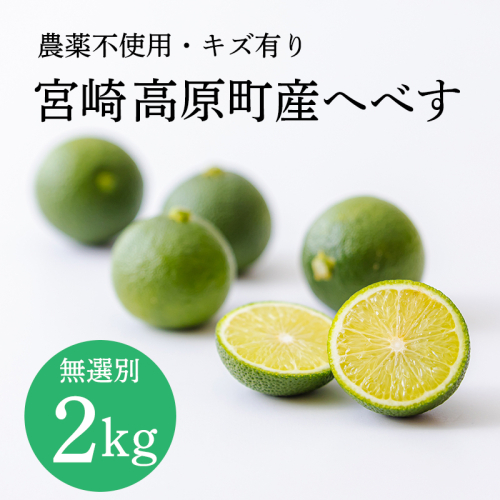 宮崎高原町産へべす 2kg 農薬不使用 キズ有り 無選別 [宮崎特産 柑橘 酸味 果汁たっぷり]TF924-P00074 2870940 - 宮崎県高原町