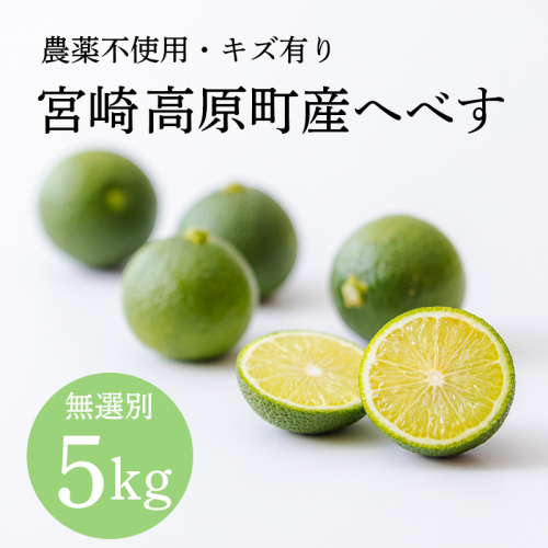 宮崎高原町産へべす 5kg 農薬不使用 キズ有り 無選別 [宮崎特産 柑橘 酸味 果汁たっぷり]TF925-P00074 2870941 - 宮崎県高原町