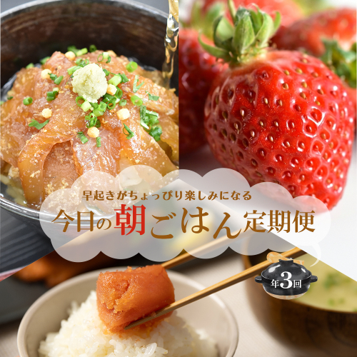 【3回届く！福岡朝ごはん定期便】（明太子切子・鯛茶づけ・あまおう）★朝起きがちょっぴり楽しみになる3回定期便[H7065] 2870964 - 福岡県福津市