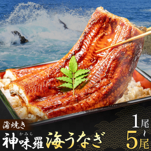 神味羅海うなぎ 蒲焼き 選べる内容量 1尾 2尾 3尾 4尾 5尾 有限会社佐々木水産《60営業日以内に出荷予定(土日祝除く)》熊本県 葦北郡 津奈木町 蒲焼 かばやき うなぎ 鰻 ウナギ 神味羅 海うなぎ 2870972 - 熊本県津奈木町