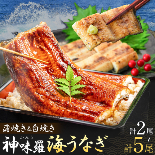 神味羅海うなぎ 蒲焼き 白焼き セット 選べる内容量 2尾 3尾 4尾 5尾 有限会社佐々木水産《60営業日以内に出荷予定(土日祝除く)》熊本県 葦北郡 津奈木町 蒲焼 かばやき うなぎ 鰻 ウナギ 神味羅 海うなぎ 食べ比べ 2870974 - 熊本県津奈木町