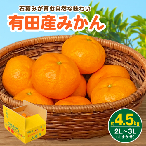 和歌山県有田産 みかん 約4.5kg 3L～2Lサイズ（おまかせ）_BT6015 2870997 - 和歌山県湯浅町