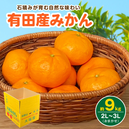 和歌山県有田産 みかん 約9kg 3L～2Lサイズ（おまかせ）_BT6016 2870998 - 和歌山県湯浅町
