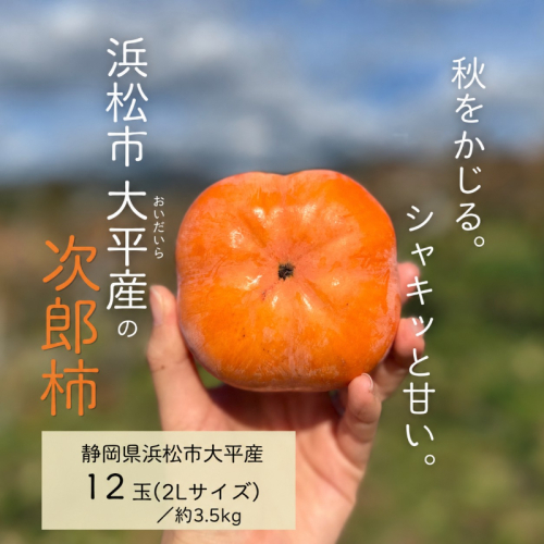 【2026年11月上旬～順次発送】【数量限定】浜松市大平産 次郎柿 12玉（2Lサイズ） 約3.5kg 果物 フルーツ 柿 カキ 静岡 浜松市【配送不可：離島】 2871013 - 静岡県浜松市