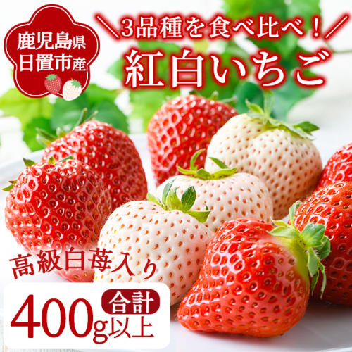 No.778-A ＜先行予約！2027年1月より順次発送＞紅白いちごの食べ比べセット(約400g以上) 国産 九州産 鹿児島 日置市 生鮮食品 苺 イチゴ 白苺 赤苺 果物 くだもの フルーツ 大粒 食べ比べ 詰め合わせ パック 【ままりあ農園】 2871044 - 鹿児島県日置市