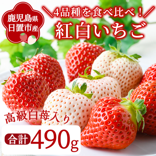 No.778-C ＜先行予約！2027年1月より順次発送＞紅白いちごの食べ比べセット(約490g) 国産 九州産 鹿児島 日置市 生鮮食品 苺 イチゴ 白苺 赤苺 果物 くだもの フルーツ 大粒 食べ比べ 詰め合わせ パック 【ままりあ農園】 2871046 - 鹿児島県日置市