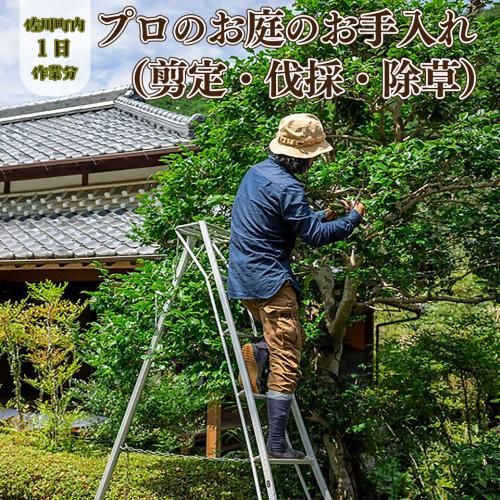 【庭のお手入れ　剪定・伐採・除草】庭づくり 庭木 植木 創樹園 管理 施工 サービス 作業場は佐川町限定 実家が佐川町にある方におすすめ 2871048 - 高知県佐川町