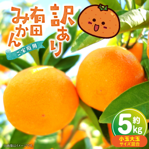 有田みかん 【訳あり 家庭用】約5kg（小玉大玉混合）_ZP6112 2871051 - 和歌山県湯浅町