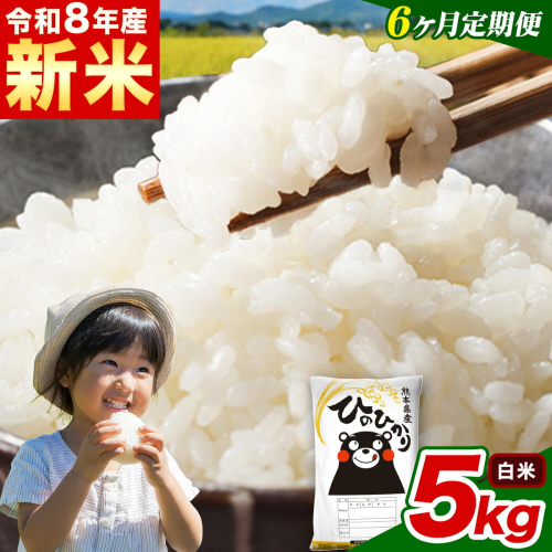 新米 令和8年産 【6ヵ月定期便】 白米 ひのひかり 定期便 5kg 5kg×1袋《12月から出荷開始》 熊本県産 精米 ひの 米 こめ ヒノヒカリ コメ お米 2871071 - 熊本県津奈木町