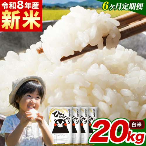 新米 令和8年産 【6ヵ月定期便】 白米 ひのひかり 定期便 20kg 5kg×4袋《12月から出荷開始》 熊本県産 精米 ひの 米 こめ ヒノヒカリ コメ お米 2871076 - 熊本県津奈木町