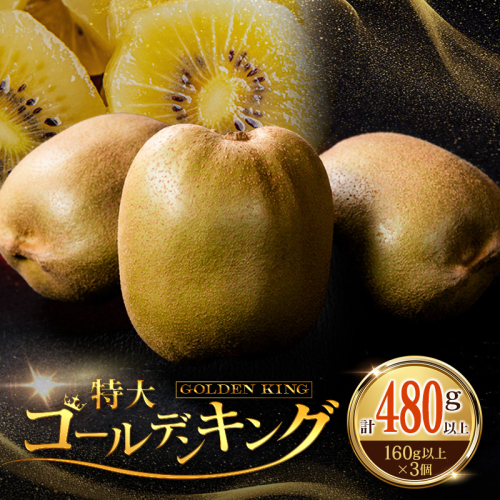ゴールドキウイ 1箱 計480g以上 特大（160g以上×3個） 贈答用 デザート 冷蔵 宮崎県産 ゴールデンキング【B718】 2871100 - 宮崎県新富町