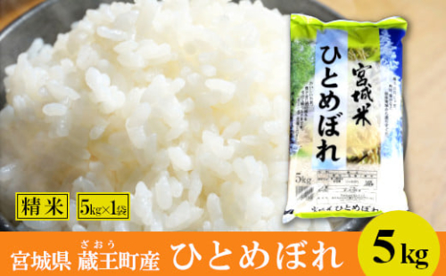 【令和8年産米】蔵王産　ひとめぼれ　精米5kg ／ 米 ごはん ご飯 白米 精米 5kg 2026年産 令和8年産 新米 東北 宮城県産 蔵王産　【04301-0388】 2871167 - 宮城県蔵王町