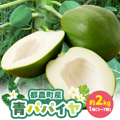 都農町産「青パパイヤ」約2kg フルーツ 果物 野菜 パパイヤ 国産_T036-004 2871169 - 宮崎県都農町