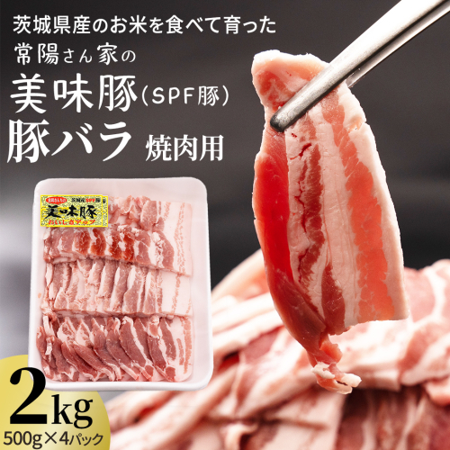 茨城県産のお米を食べて育った 常陽さん家の 美味豚 (SPF豚) 豚バラ 焼肉用 2kg (龍ヶ崎市 共通返礼品） 国産 バラ バラ肉 ロース 豚 SPF SPF豚 豚肉 焼肉 バーベキュー しゃぶしゃぶ 肉 にく 肉類 ポーク こだわり やわらか お米育ち 安心 安全 人気 お取り寄せグルメ お取り寄せ グルメ おすすめ 豚丼 照り焼 [BW003us] 2871179 - 茨城県牛久市