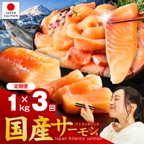 【定期便】国産アトランティックサーモン 1kg ポーション 全3回【小分け 真空パック 訳あり サイズ不揃い 刺身 海鮮丼 さーもん 鮭 さけ シャケ しゃけ 冷凍】 nbjZ0006 2871196 - 大阪府泉佐野市