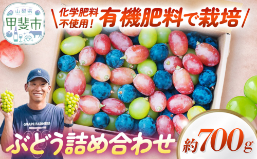 【2027年発送分】かめざわ農園がお届けする旬の彩り 粒ぶどう 詰め合わせ（約700g） 2871197 - 山梨県甲斐市
