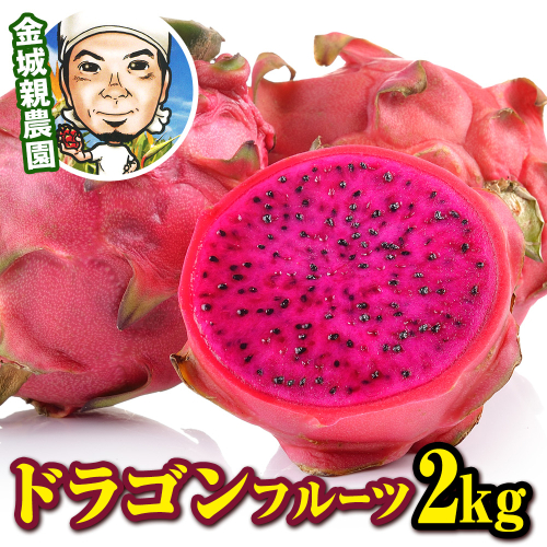 【2027年発送】金城親農園 ドラゴンフルーツ 2kg 2871217 - 沖縄県南風原町