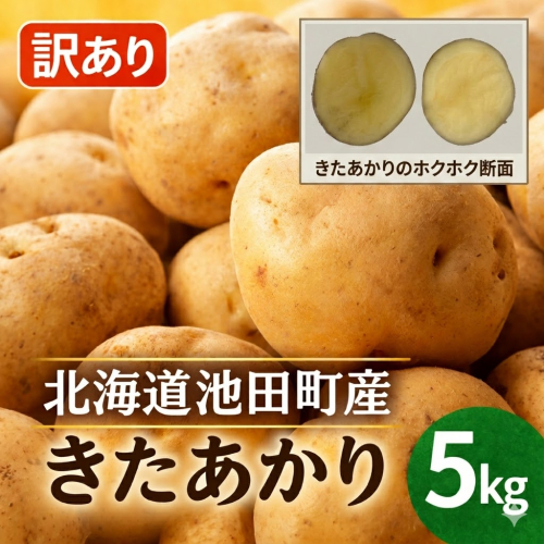 訳あり きたあかり 5kg じゃがいも L,M混合 北海道 池田町 ジャガイモ いも ポテト サイズ不揃い 2871220 - 北海道池田町