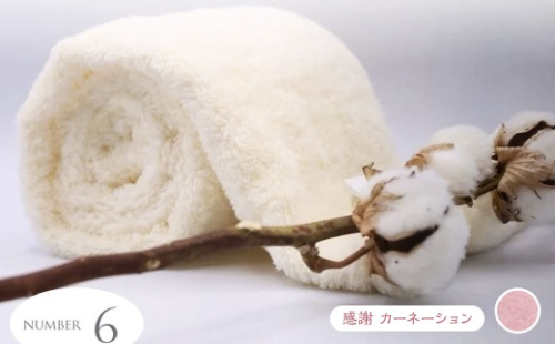 超無撚糸 タオル 【 わたのはな No.6 】 1枚 （ 感謝 カーネーション ） 薄手 贅沢 感触 軽量 ギフトボックス ギフト 贈り物 2871229 - 岐阜県安八町