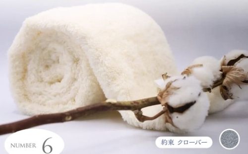 超無撚糸 タオル 【 わたのはな No.6 】 1枚 （ 約束 クローバー ） 薄手 贅沢 感触 軽量 ギフトボックス ギフト 贈り物 2871232 - 岐阜県安八町