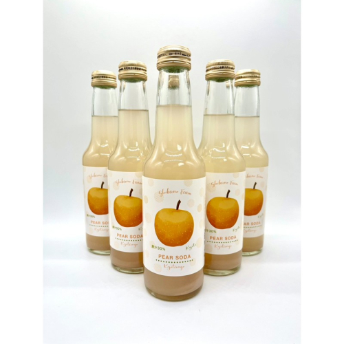 京丹後の梨炭酸ジュース（ソーダ） 小瓶6本入り ジュース 国産 梨 なし ナシ ジュース ドリンク 飲料 果汁 京都 京丹後 ふるさと納税 梨ジュース 2871251 - 京都府京丹後市