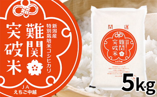 令和7年産 難関突破米 5kg お米 コシヒカリ 28716 - 新潟県田上町