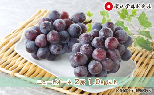 ぶどう 2027年 先行予約 秋のニューピオーネ 2房 1.0kg以上 ブドウ 葡萄  岡山県産 国産 フルーツ 果物 ギフト 環山堂 2871826 - 岡山県玉野市