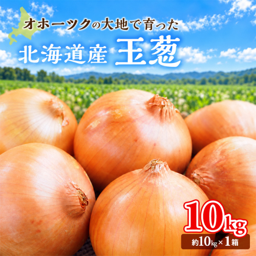 玉ねぎ 北海道産 タマネギ 10kg （10kg×1箱） [ たまねぎ 国産 産地直送 オホーツク 野菜 常備野菜 ]  えんゆう農業協同組合 2871833 - 北海道湧別町