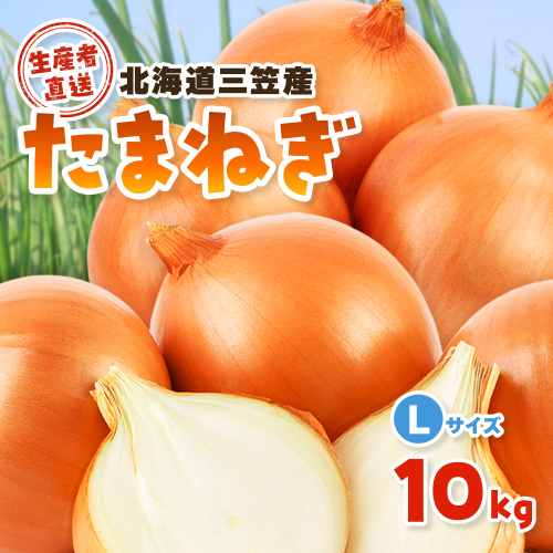 《生産者直送》三笠産たまねぎ10kg【Ｌサイズ】【67001AA0101】 2871907 - 北海道三笠市
