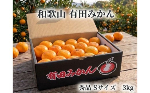 ［秀品・サイズＳ］まる隆果樹園　和歌山有田産！早生みかん≪3kg≫［予約販売］ 2871914 - 和歌山県有田川町