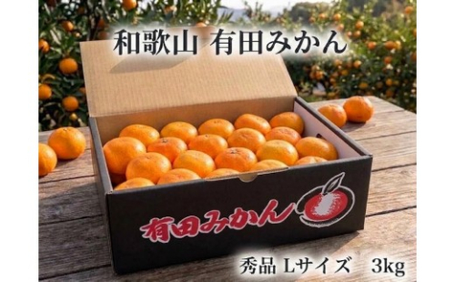 ［秀品・サイズＬ］まる隆果樹園　和歌山有田産！早生みかん≪3kg≫［予約販売］ 2871916 - 和歌山県有田川町