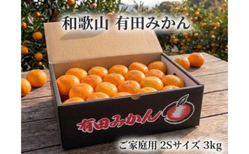 ［ご家庭用・サイズ２Ｓ］和歌山有田産！早生みかん≪3kg≫［予約販売］まる隆果樹園 2871918 - 和歌山県有田川町