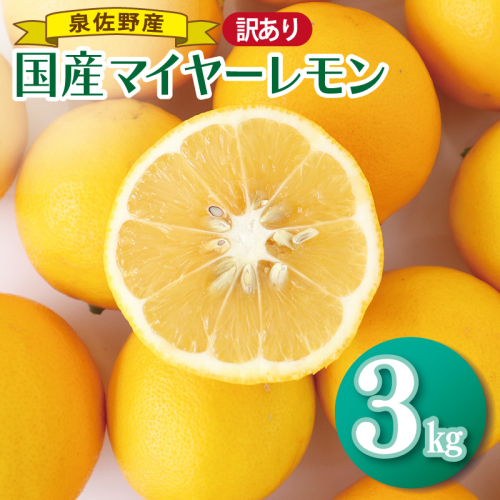 【先行予約】国産マイヤーレモン 3kg【泉佐野産 フルーツ 果物 れもん 檸檬 産地直送 訳あり サイズ不揃い まとめ買い】 G5914 2871925 - 大阪府泉佐野市